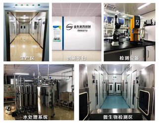 Cina Jinan Grandwill Medical Technology Co., Ltd. Profil Perusahaan