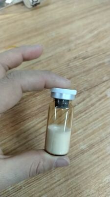 Biokompatibel PLLA Injectable Filler Filler Dermal untuk restorasi volume wajah yang tahan lama dan koreksi keriput